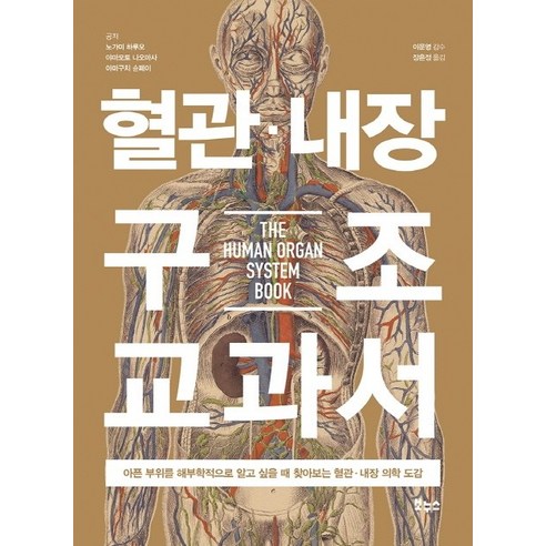 혈관 내장 구조 교과서:아픈 부위를 해부학적으로 알고 싶을 때 찾아보는 혈관 내장 의학 도감, 보누스, 노가미 하루오야마모토 나오마사야마구치 ??페이