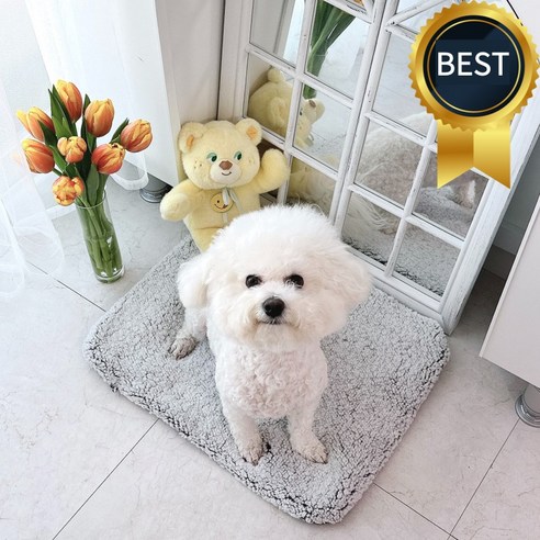 [SaleNOWㅣ인기상품] 강아지온열매트 난방매트 온열패드 고양이 펫 애견 매트 난방 방석 자체 발열 고양이 개 침대 매트 편안한 보온 패드 애완 동물 워머 실내 야외 동물용 [세일나우ㅣ추천상품]