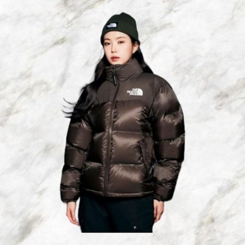 THE NORTH FACE NJ1DP69C 남성 1996 워터 쉴드 눕시 자켓