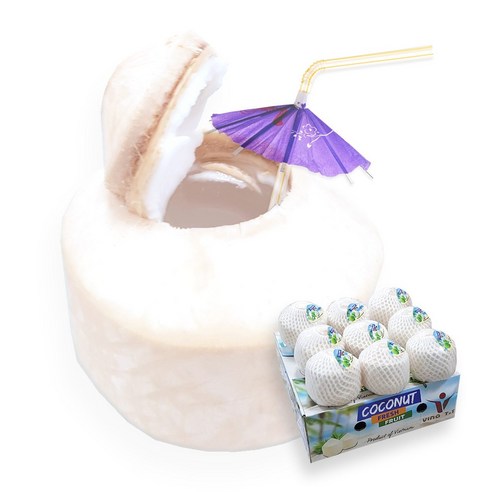 오렌지씨 베트남 코코넛 2과(2kg) 4과(4kg) 9과(9kg) 1박스 생코코넛, 1개, 1kg