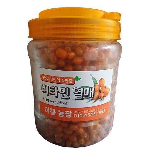 유튜브 그까이꺼 방송 천연 비타민의 제왕 비타민 나무 열매