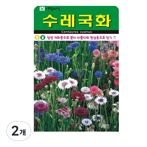 수레국화 씨앗 500립, 2개