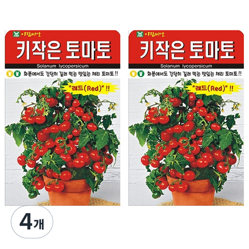 키작은 토마토 씨앗, 4개