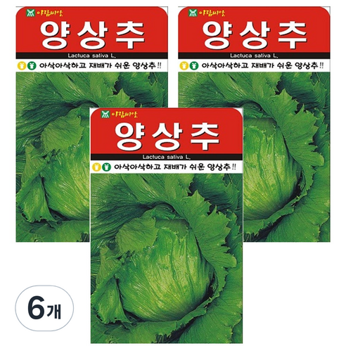 양상추 씨앗 씨 종자, 6개