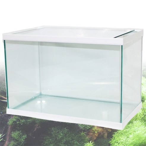 피쉬박스 엘린 60cm 넓은어항(60x35x40cm) 수조, 60 x 35 x 40cm, 1개