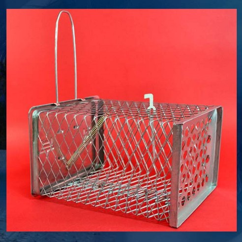 드림하우스 쥐망, 1개