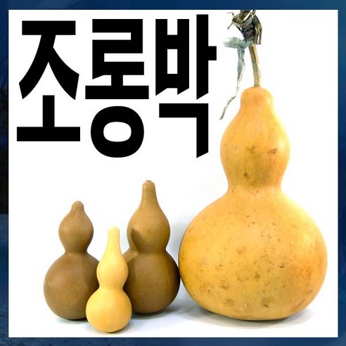 드림하우스 조롱박, 대, 1개