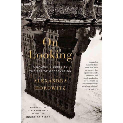 On Looking: Eleven Walks with Expert Eyes, Scribner
