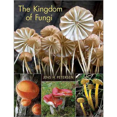 The Kingdom of Fungi, Princeton Univ Pr