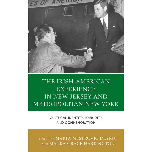 The Irish-American Experience in New Jersey and Metropolitan New York, Lexington Books