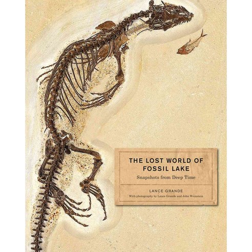 The Lost World of Fossil Lake: Snapshots from Deep Time, Univ of Chicago Pr