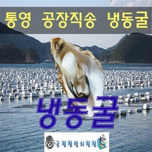 [굴철철] 싱싱 생굴 석화 당일출하, 1개, 냉동굴5kg