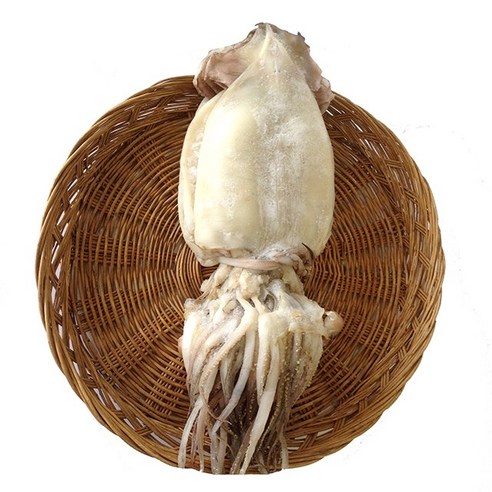 친환경팔도 동해안 반건조오징어(중)10마리, 단품