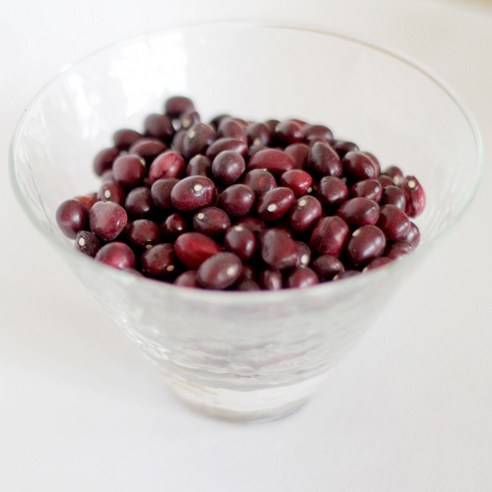 2022 국산 울타리콩 밤콩 밤양대 500g, 1개