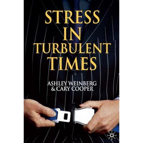 Stress in Turbulent Times Paperback, Palgrave MacMillan