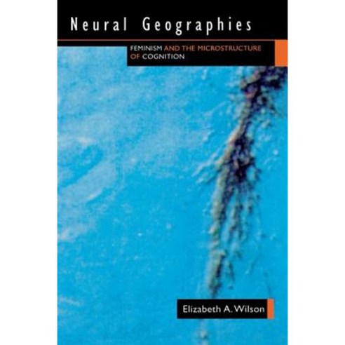 Neural Geographies: Feminism and the Microstructure of Cognition Hardcover, Routledge