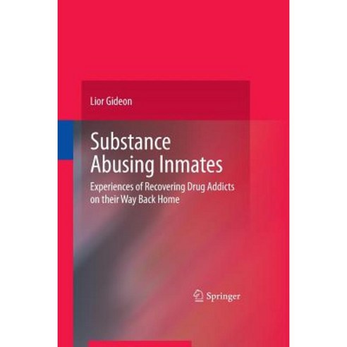 Substance Abusing Inmates: Experiences of Recovering Drug Addicts on Their Way Back Home Paperback, Springer