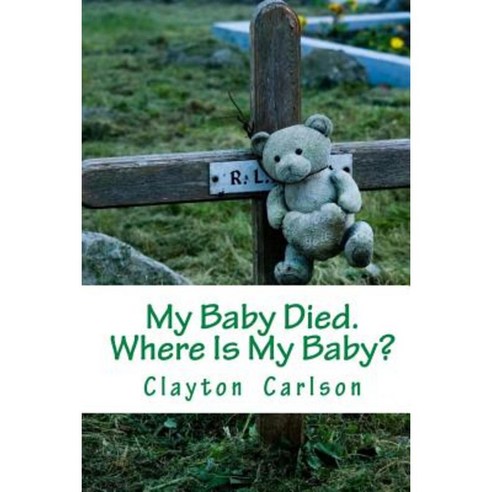 My Baby Died. Where Is My Baby? Paperback, First Page Solutions