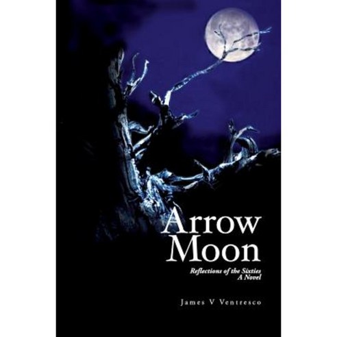 Arrow Moon: Reflections of the Sixties a Novel Paperback, Createspace