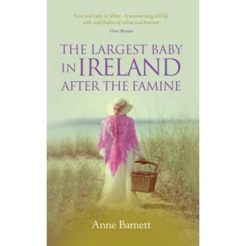 The Largest Baby in Ireland After the Famine Paperback, Mereo Books
