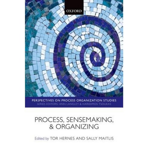 Process Sensemaking and Organizing Paperback, Oxford University Press, USA
