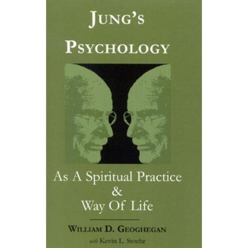 Jung''s Psychology as a Spiritual Practice and Way of Life: A Dialogue Paperback, Upa