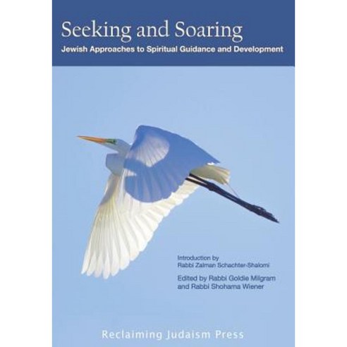 Seeking and Soaring: : Jewish Approaches to Spiritual Guidance and Development Paperback, Reclaiming Judaism