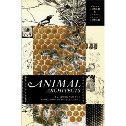 Animal Architects: Building and the Evolution of Intelligence Paperback, Basic Books (AZ)