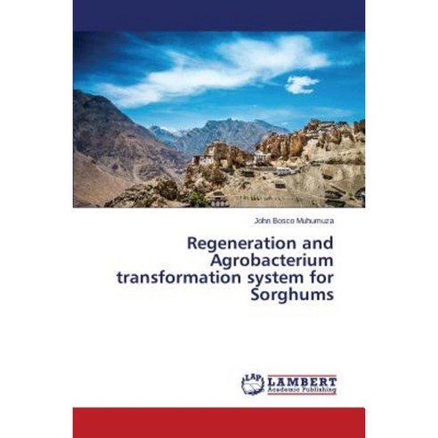 Regeneration and Agrobacterium Transformation System for Sorghums Paperback, LAP Lambert Academic Publishing