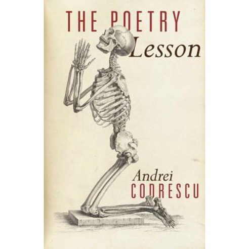 The Poetry Lesson Paperback, Princeton University Press