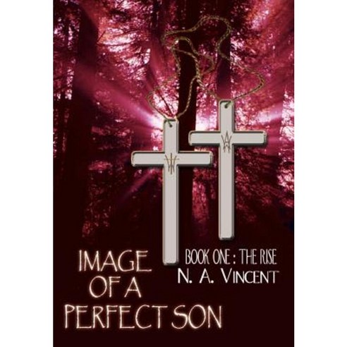 Image of a Perfect Son: Book One: The Rise Hardcover, Authorhouse