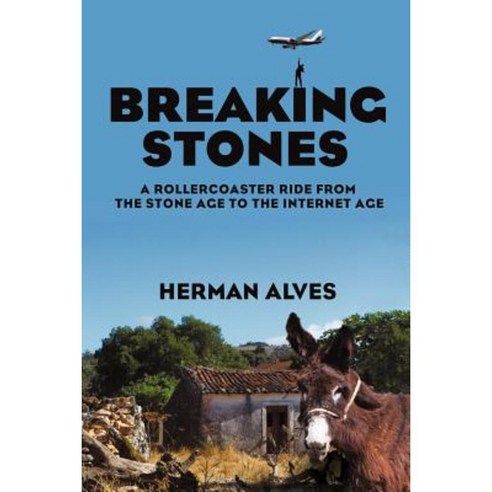 Breaking Stones: A Rollercoaster Ride from the Stone Age to the Internet Age Paperback, iUniverse