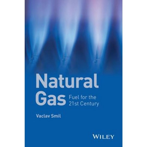 Natural Gas: Fuel for the 21st Century Paperback, Wiley