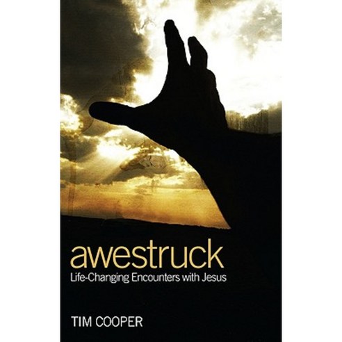 Awestruck: Life-Changing Encounters with Jesus Paperback, Resource Publications (OR)
