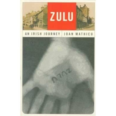 Zulu: An Irish Journey Paperback, Syracuse University Press