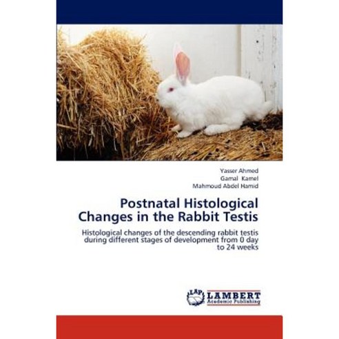 Postnatal Histological Changes in the Rabbit Testis Paperback, LAP Lambert Academic Publishing