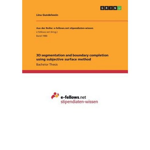 3D Segmentation and Boundary Completion Using Subjective Surface Method Paperback, Grin Publishing