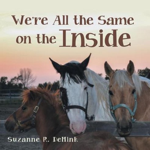 We''re All the Same on the Inside Paperback, Balboa Press
