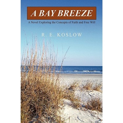 A Bay Breeze: A Novel Exploring the Concepts of Faith and Free Will Paperback, iUniverse