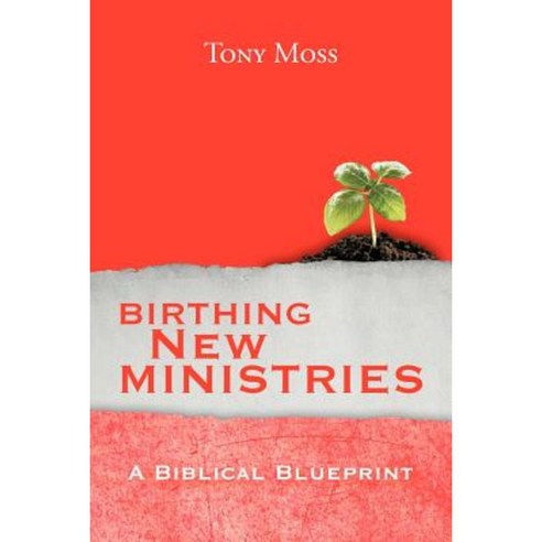 Birthing New Ministries: A Biblical Blueprint Paperback, Xlibris Corporation