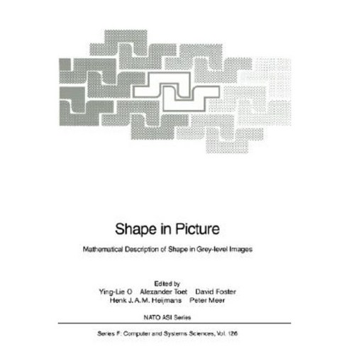 Shape in Picture: Mathematical Description of Shape in Grey-Level Images Hardcover, Springer