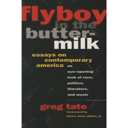 Flyboy in the Buttermilk: Essays on Contemporary America Paperback, Touchstone Books