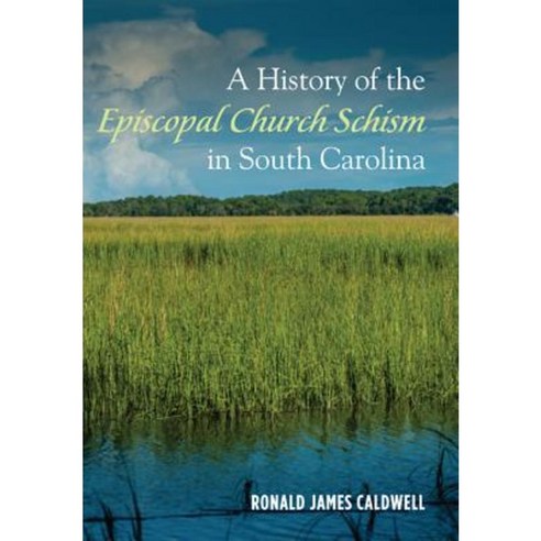 A History of the Episcopal Church Schism in South Carolina Paperback, Wipf & Stock Publishers