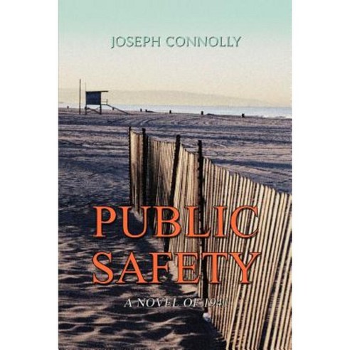 Public Safety: A Novel of 1941 Paperback, iUniverse