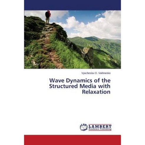Wave Dynamics of the Structured Media with Relaxation Paperback, LAP Lambert Academic Publishing