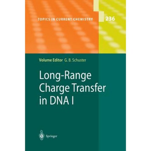 Long-Range Charge Transfer in DNA I Paperback, Springer