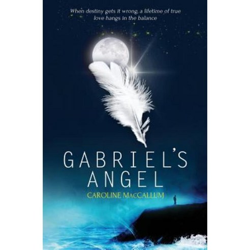 Gabriel''s Angel Paperback, Finch Books