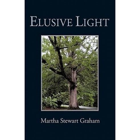 Elusive Light: A Collection of Poetry and Short Stories Paperback, iUniverse
