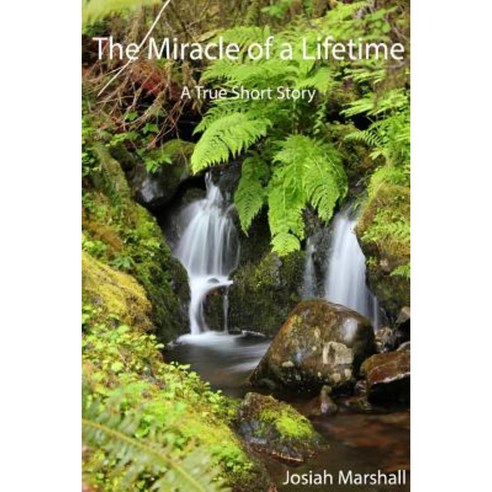 The Miracle of a Lifetime Paperback, Lulu.com