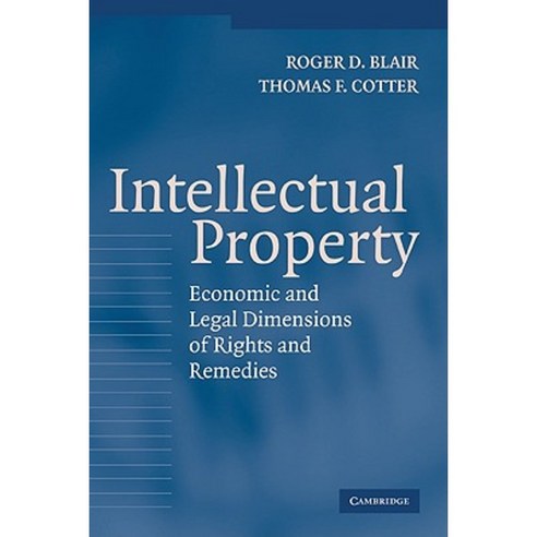 Intellectual Property: Economic and Legal Dimensions of Rights and Remedies Hardcover, Cambridge University Press